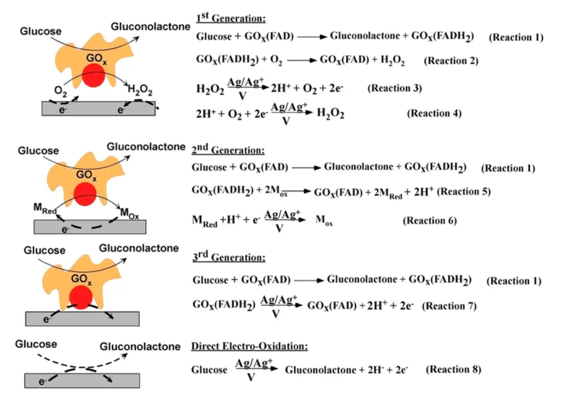 the evolution of glucose biosensors