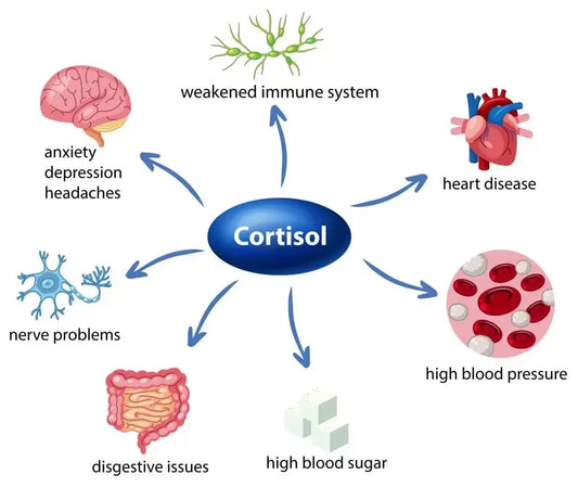 The-Relationship-Between-Sleep-Stress-Cortisol-and-Prediabetes-Can-We-Understand-and-Solve-It SusWel